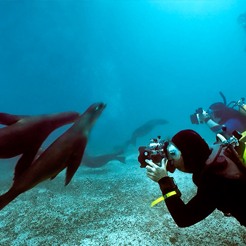 Best Galapagos Cruise Deals